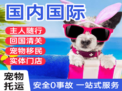 乌审旗嘎鲁图机场快递国际宠物托运 【国